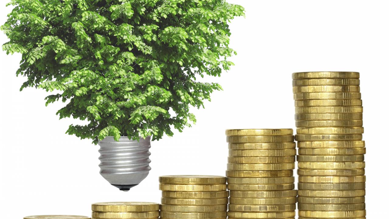 Hoe duurzaam geld sparen? Hoe duurzaam geld sparen?