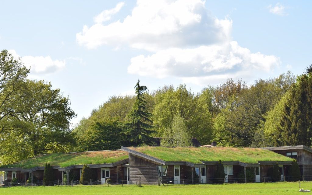 Genieten van de natuur in Drenthe