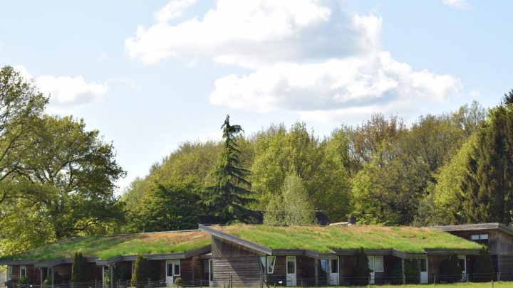 Genieten van de natuur in Drenthe